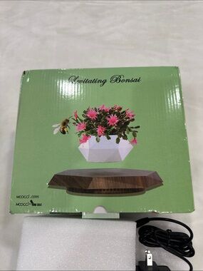 Levitating Bonsai Magnetic Planter - Pink Flower